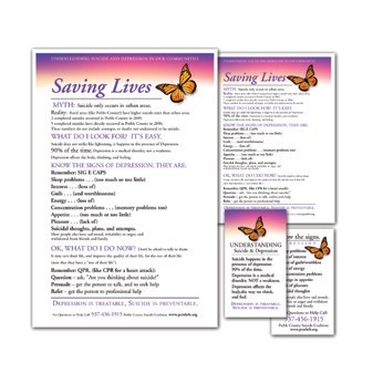 Print Design — Community Brochure